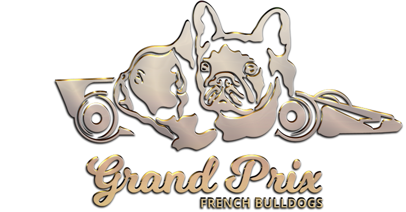 Grand Prix French Bulldogs